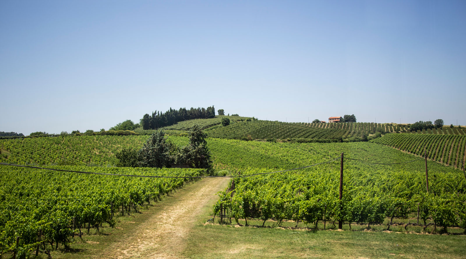 Le Sottozone del Romagna Sangiovese: Meldola | Consorzio Vini di Romagna